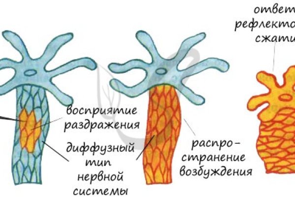 Ссылки в тор